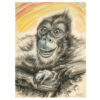 Josef Friedrich Limmer 1